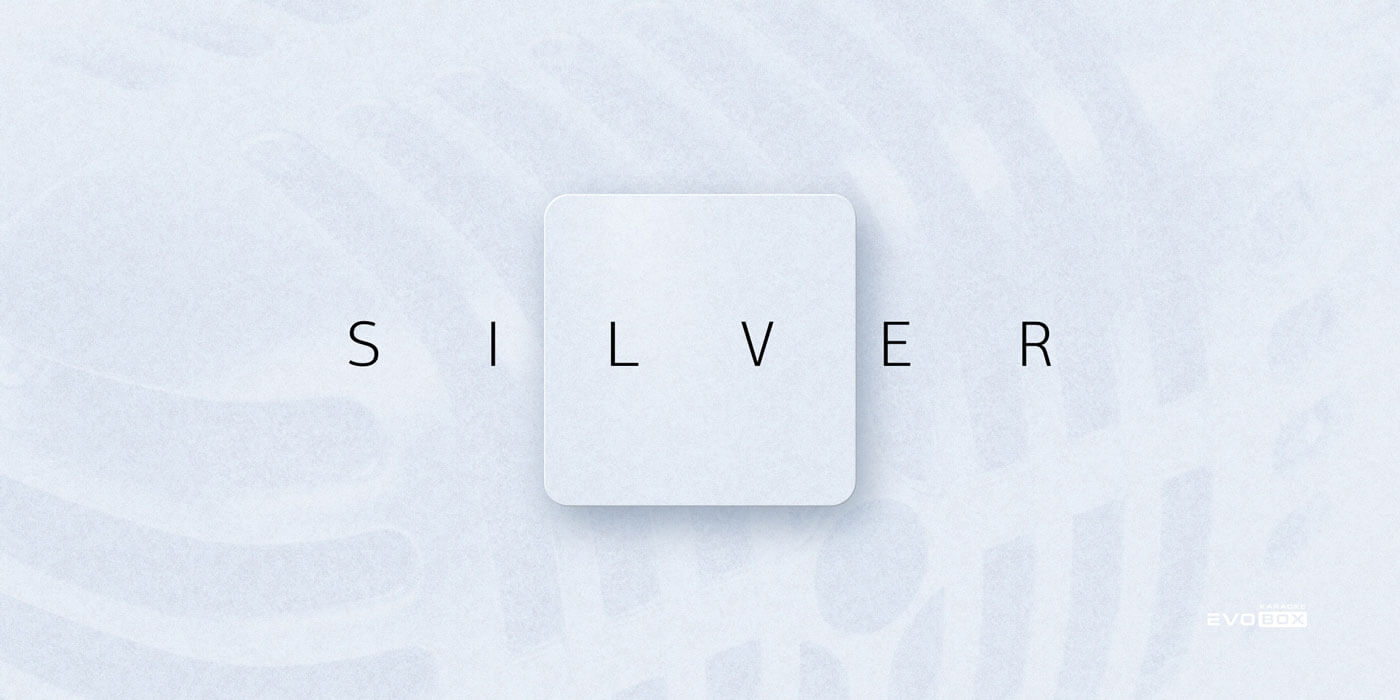EVOBOX Silver