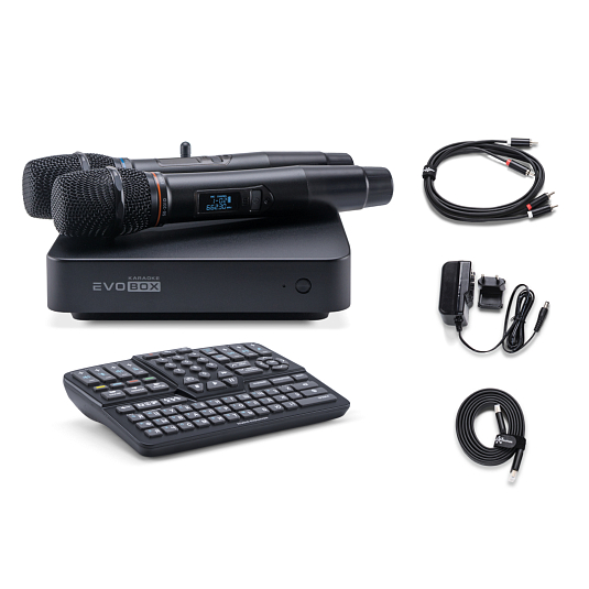 Караоке-комплект EVOBOX Plus с микрофонами и стереосистемой
