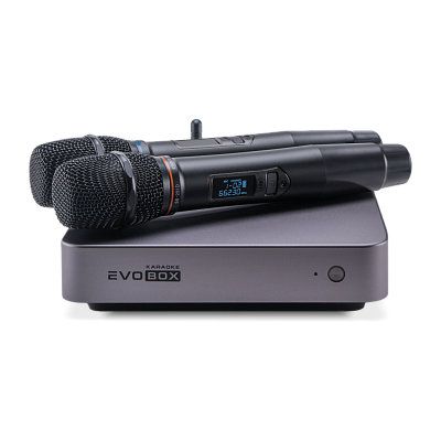 Караоке-система для дома EVOBOX Classic Graphite Караоке-система для дома EVOBOX Classic Graphite