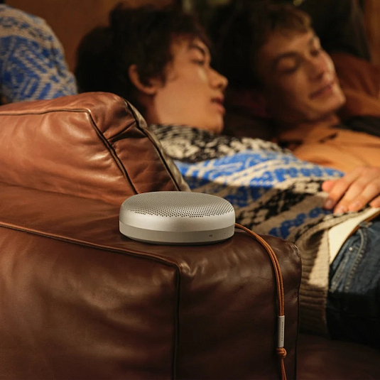 Bang & Olufsen Beosound A1 2nd Gen