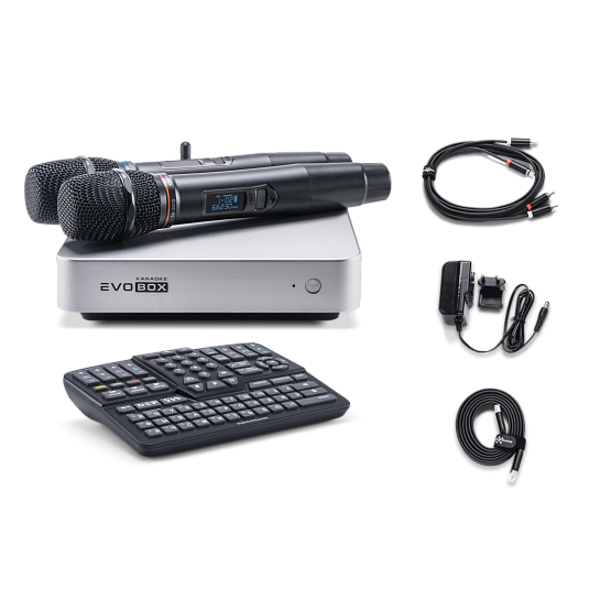 Караоке-система для дома EVOBOX Plus [Silver] + 2 микрофона в подарок