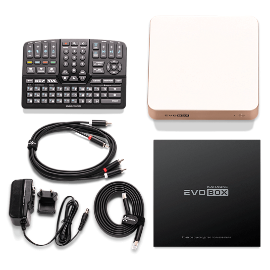 Караоке-система EVOBOX [Gold]