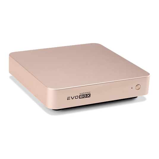 Караоке-система EVOBOX [Gold]
