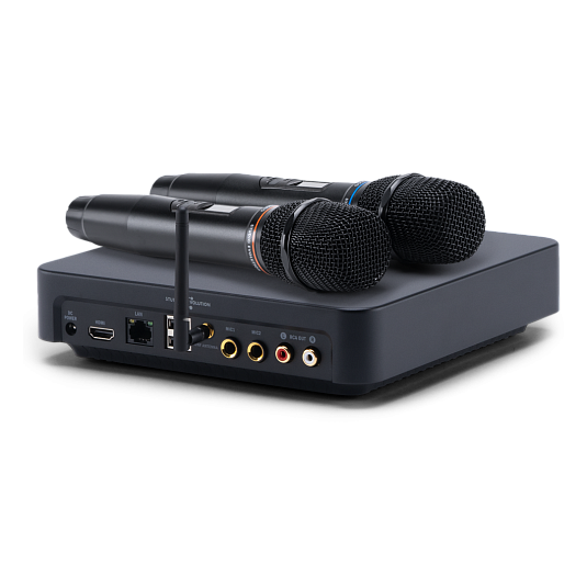 Караоке-система для дома EVOBOX Classic  с микрофонами и саундбаром