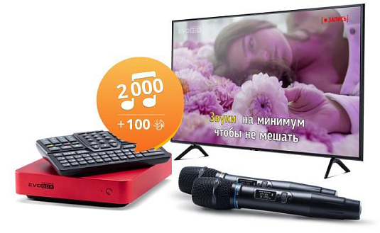 Караоке-комплект EVOBOX с микрофонами