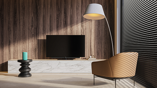 Loewe bild 3.49 basalt grey