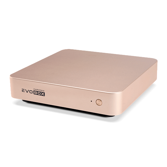 Караоке-система EVOBOX [Gold]