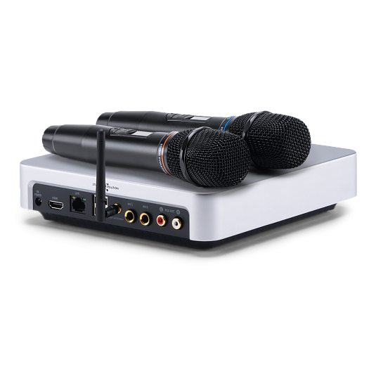 Караоке-система для дома EVOBOX Plus [Silver] + 2 микрофона в подарок