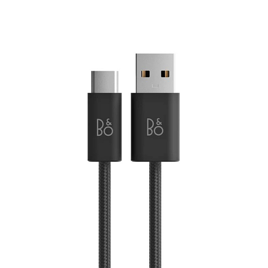 Bang & Olufsen Beoplay H95 Black/Engraved