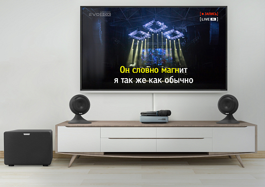 Караоке-комплект EVOBOX Plus с микрофонами и стереосистемой