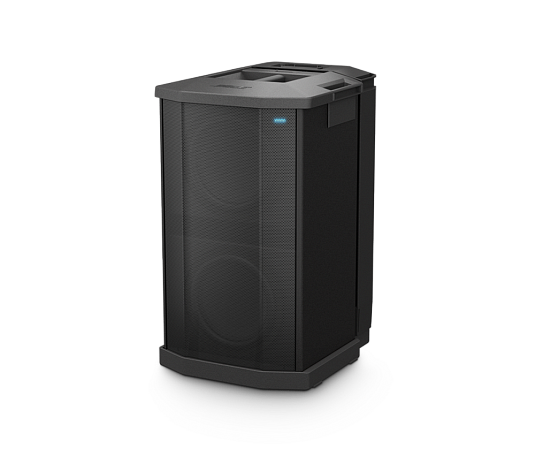 Сабвуфер BOSE F1 Subwoofer