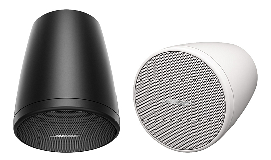 BOSE FreeSpace FS2P — подвесная акустическая система BOSE FreeSpace FS2P — подвесная акустическая система