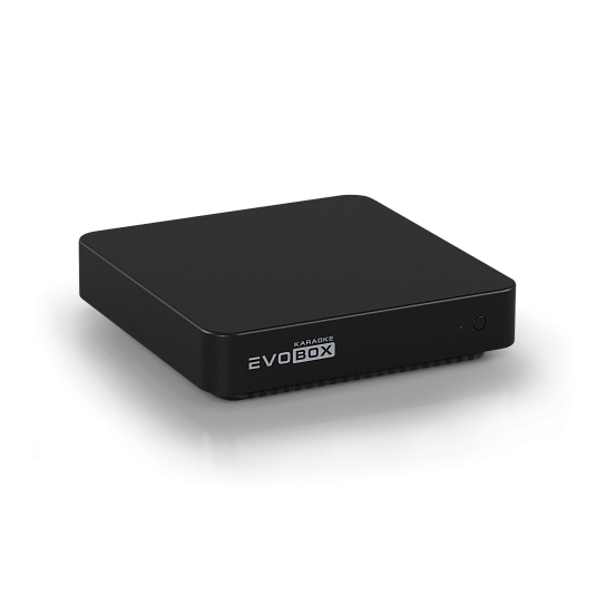 Караоке-система для дома EVOBOX Plus [Black] + 2 МИКРОФОНА В ПОДАРОК